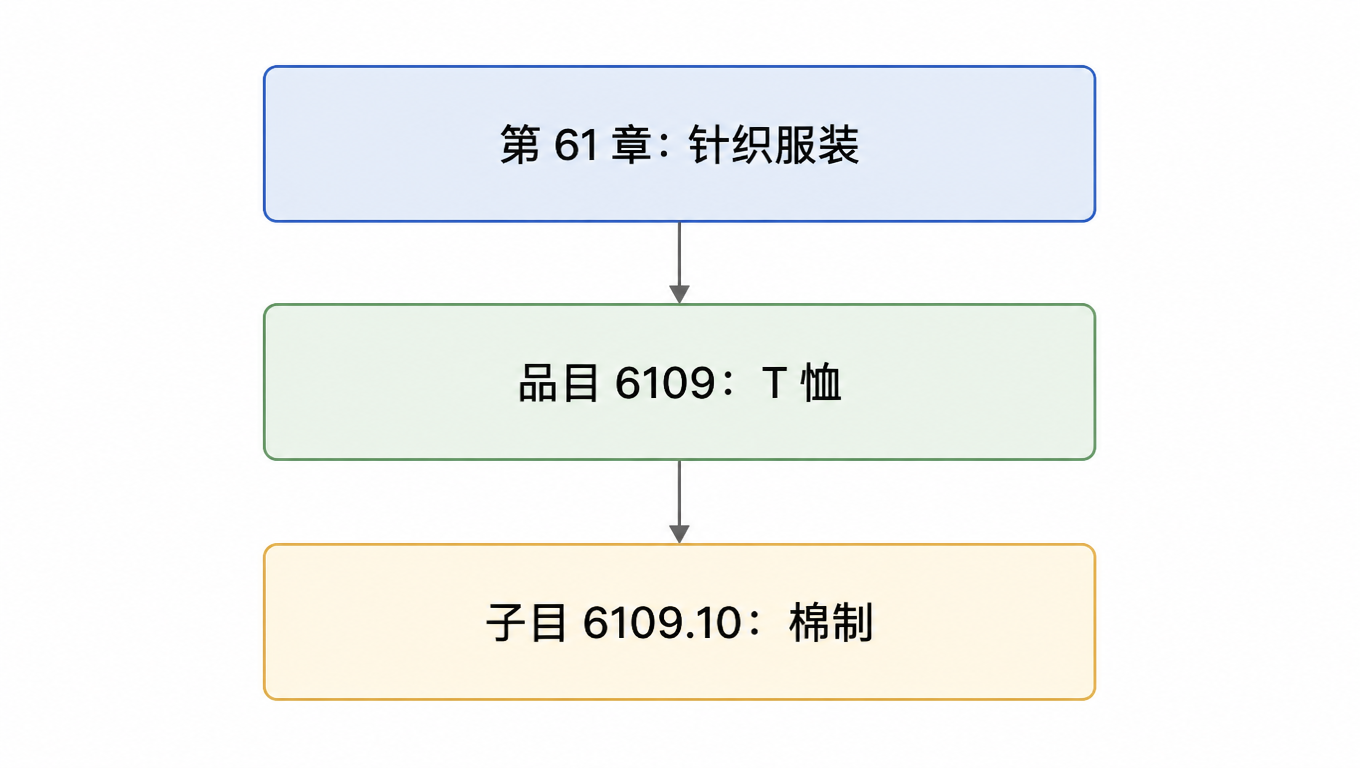 HS 编码结构拆解:第 61 章针织服装 → 品目 6109 T 恤 → 子目 6109.10 棉制